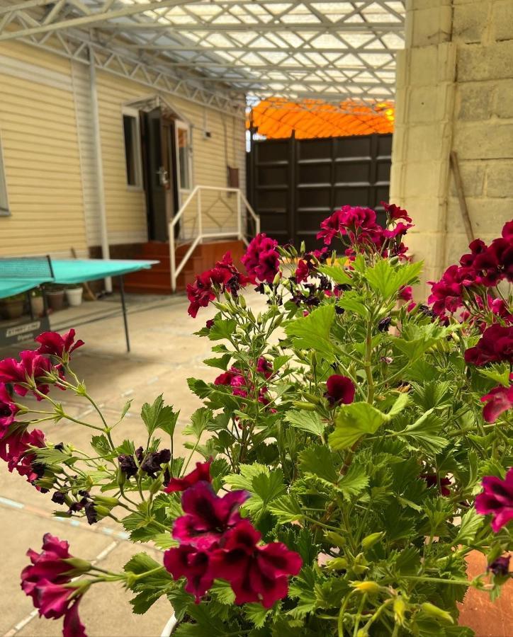 كاراكول Hostel My House المظهر الخارجي الصورة