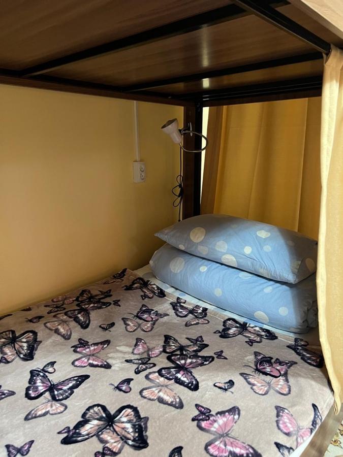كاراكول Hostel My House المظهر الخارجي الصورة